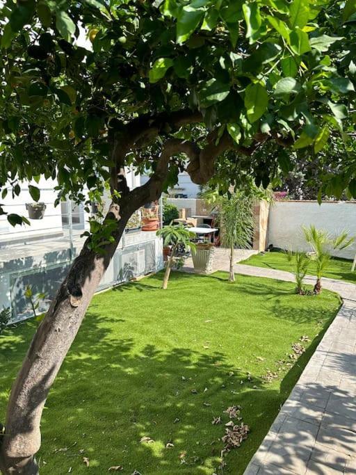 Lamarticata-Likeshome Garden Triscina Εξωτερικό φωτογραφία